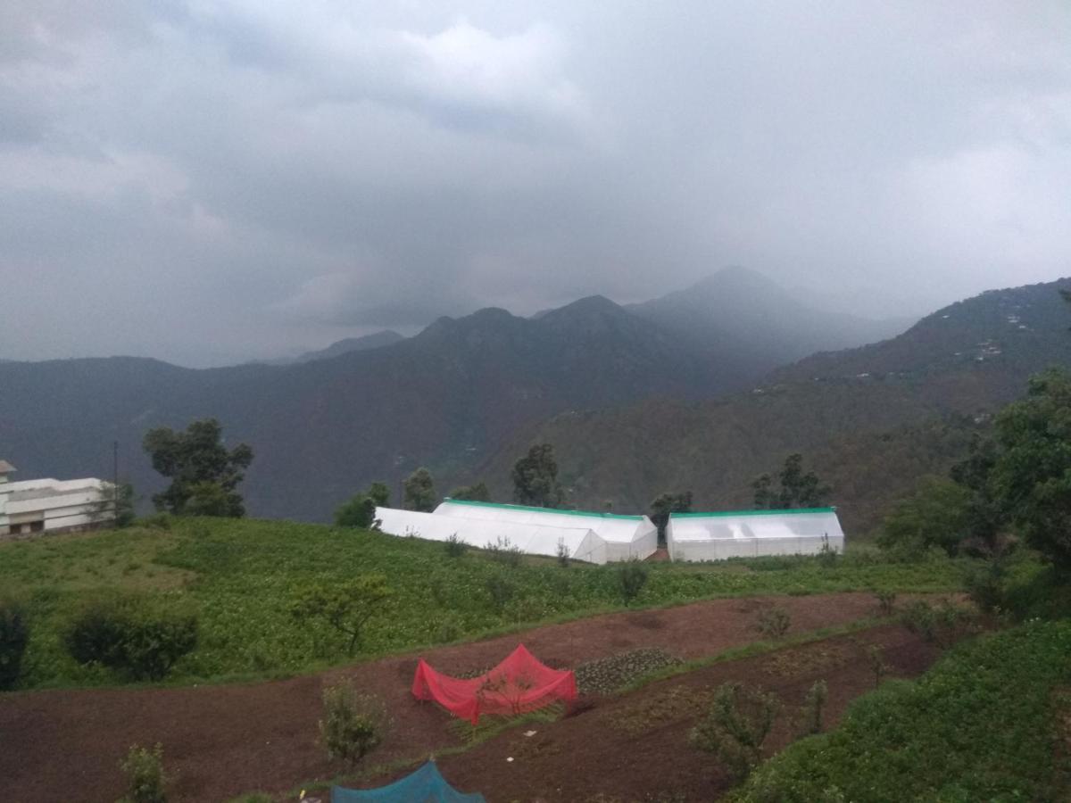 Green View Resort New Tehri Exteriér fotografie