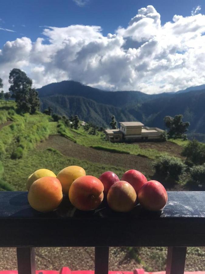 Green View Resort New Tehri Exteriér fotografie